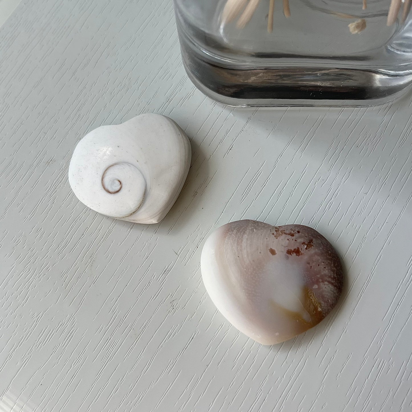 SHIVA SHELL HEART
