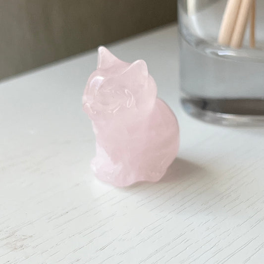 MINI CATS