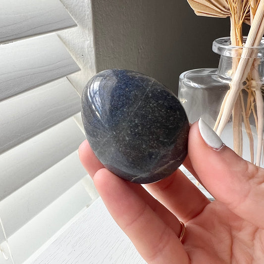 SODALITE PALM